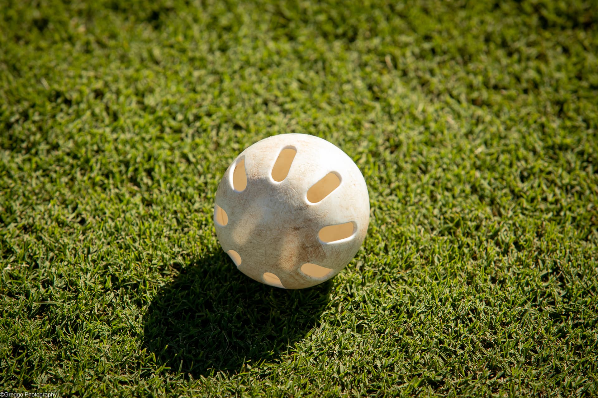 A Wiffle ball on the grass