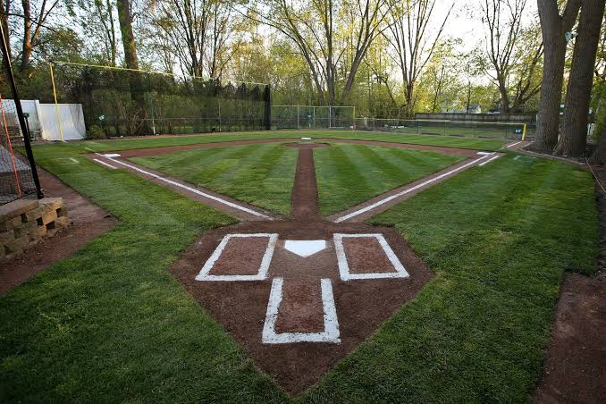 A backyard Wiffle Ball diamond with painted batter's boxes and striped grass