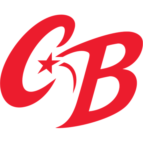 Chicago Bats logo